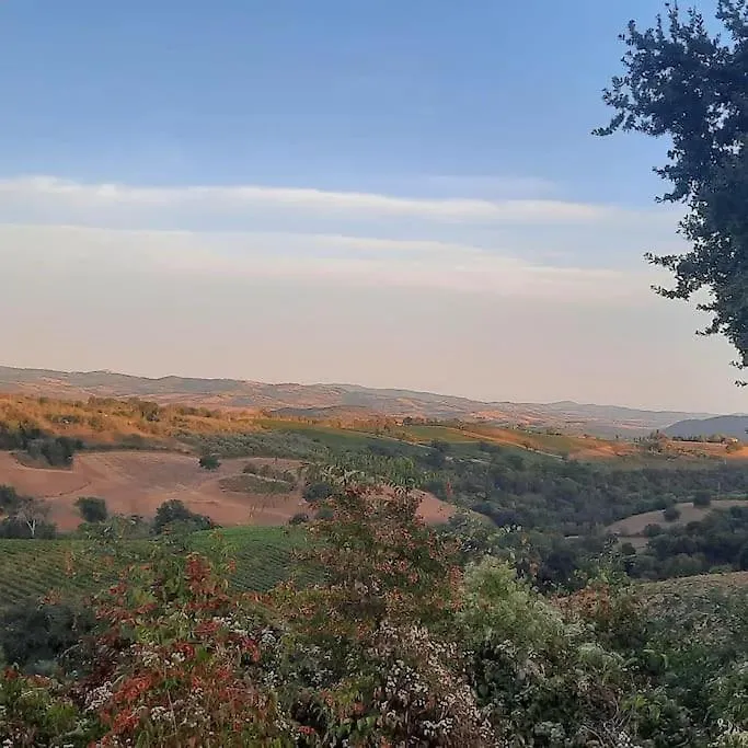 Agriturismo Salaiolo 176 斯坎萨诺